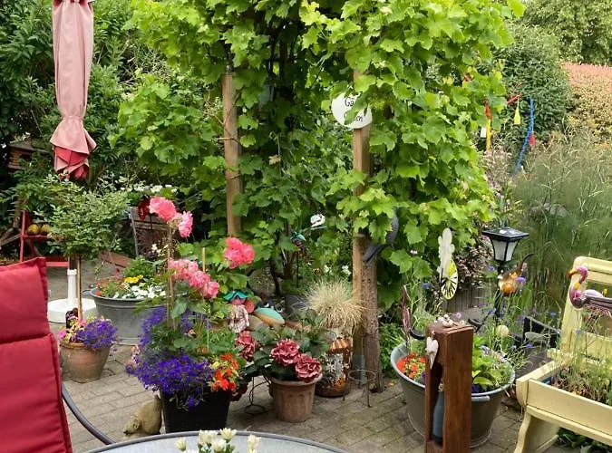 Am Siel * דיצום