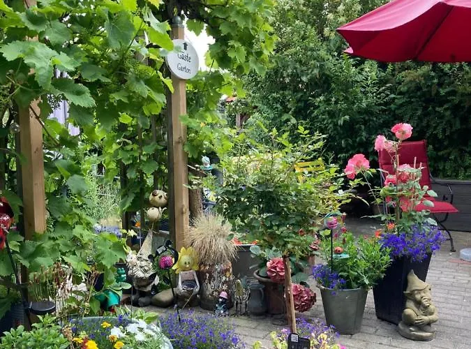 Am Siel * דיצום